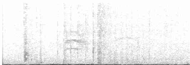 Пестроклювый арасари - ML102630541