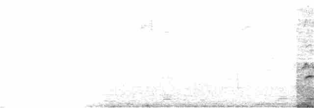 Fahlbrustdrossel - ML102633771