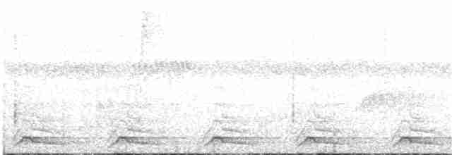 Black-tailed Trogon - ML102655751