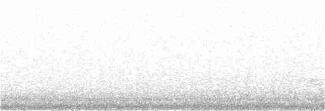 Длинноклювый кулик-сорока - ML102685501
