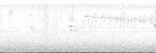 Isabellstreifen-Meisenschlüpfer - ML102690