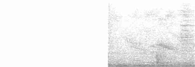 Black-crested Antshrike - ML102691321
