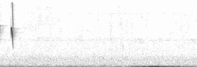 White-crested Tyrannulet (Sulphur-bellied) - ML102692