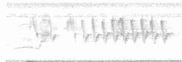 Кратеропа сіролоба - ML102707141