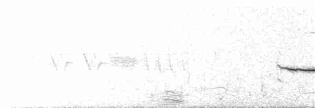Белобровая овсянка (pugetensis) - ML102736021