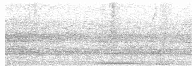 gråpannedue - ML102860021
