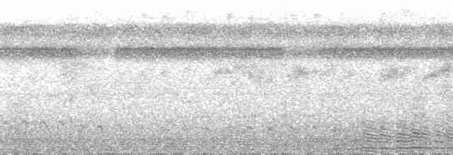 Green-tailed Goldenthroat - ML102888