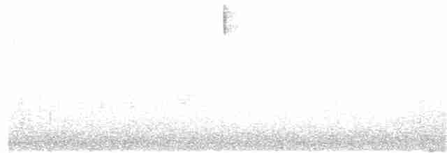 Малая воробьиная овсянка - ML103002231