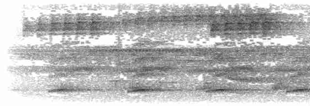 Keel-billed Toucan - ML103006961