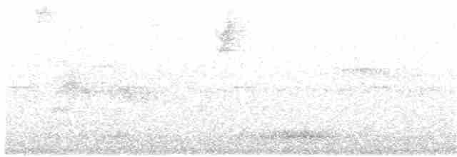 Sombre Hummingbird - ML103072211