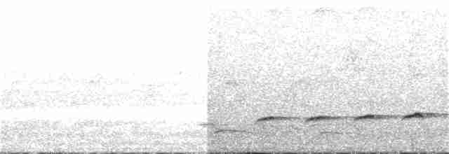 Fork-tailed Drongo-Cuckoo - ML103099431