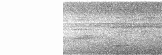 Ньюджорджийский зимородок - ML103101561