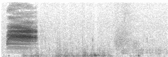 Loggerhead Shrike - ML103180161