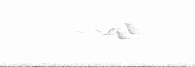 kukačka veverčí (ssp. thermophila) - ML103189
