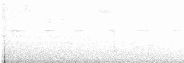 rorýs šedobřichý [skupina sclateri] - ML103299731