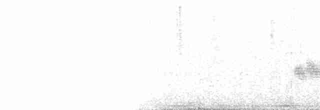 Мангровый виреон (ochraceus/semiflavus) - ML103306