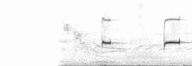 Тиранчик-тонкодзьоб північний - ML103315