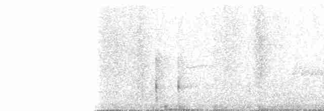 Ak Karınlı Çıtkuşu [leucogastra grubu] - ML103350