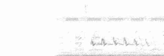 Bruant de Botteri (groupe petenica) - ML103363