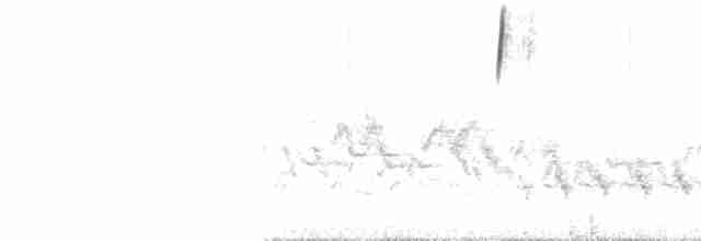 Streifenrückenammer [petenica-Gruppe] - ML103371