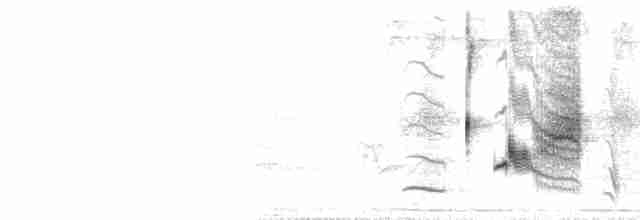 Glanzspottdrossel - ML103375