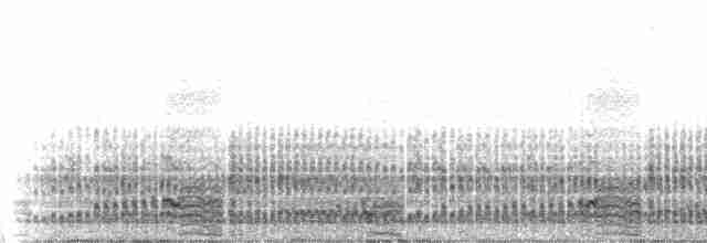 Качурка морська (підвид pelagicus) - ML103405