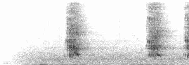 Kara Yanaklı Saksağan Kargası - ML103405701