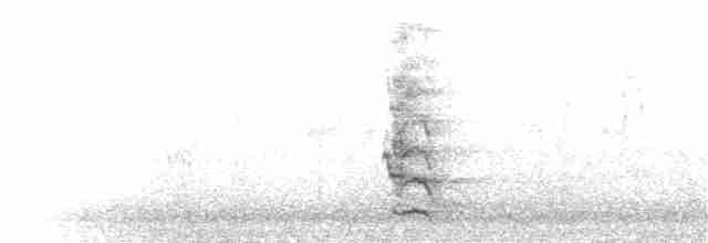 Kara Yanaklı Saksağan Kargası - ML103405741