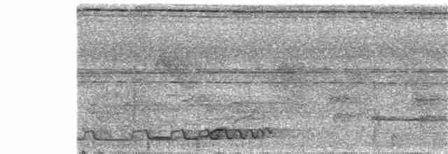 Дзьобочуб смарагдовий - ML103428051