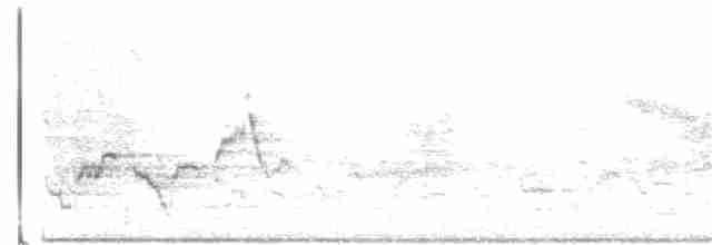 Дрізд-короткодзьоб Cвенсона - ML103454561