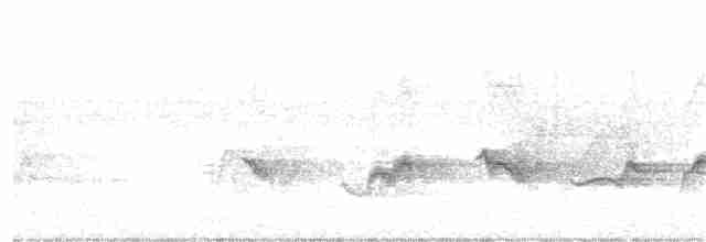 Чернокрылая пиранга - ML103487181