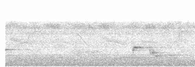 Зозуля білогорла - ML103517941