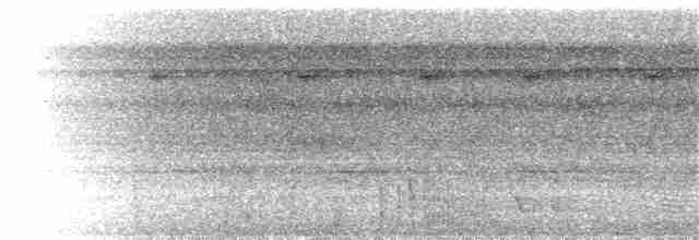 Weißstirn-Ameisenvogel - ML103535171