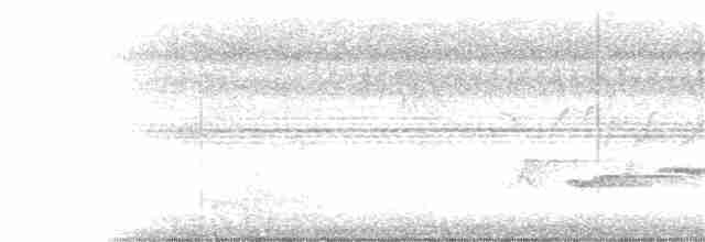 White-chested Babbler - ML103546171