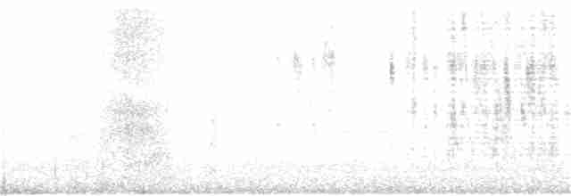 brunmaskevever - ML103562301