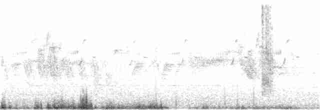 ravinesvale (obsoleta gr.) (ørkensvale) - ML103562311