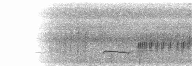 Short-tailed Babbler - ML103583091