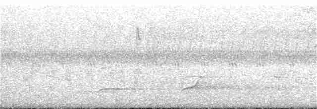 nordkrattvaktel (virginianus gr.) - ML103591871