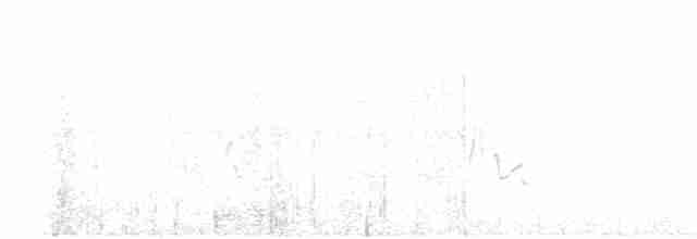 Червоїд сіроголовий - ML103597271