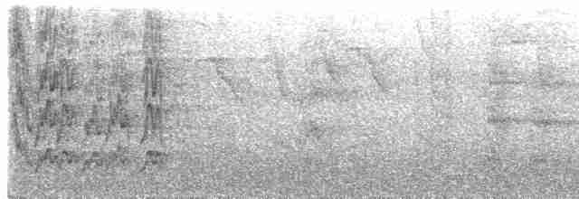 Conure de Hellmayr (amazonum) - ML103626