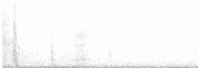 עלווית חורף קנרית - ML103801731