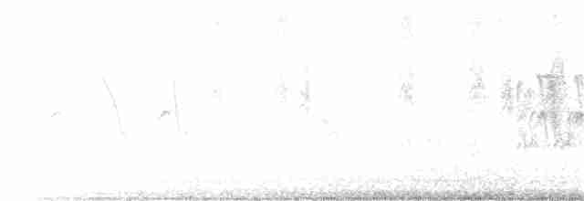Віреон короткокрилий (підвид pusillus) - ML103803901