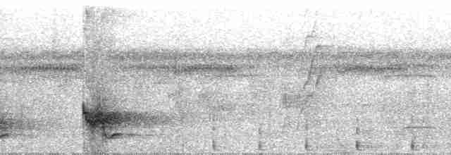 Swallow-tailed Manakin - ML103806
