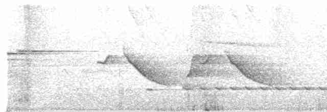 キガシラモリチメドリ Ebird