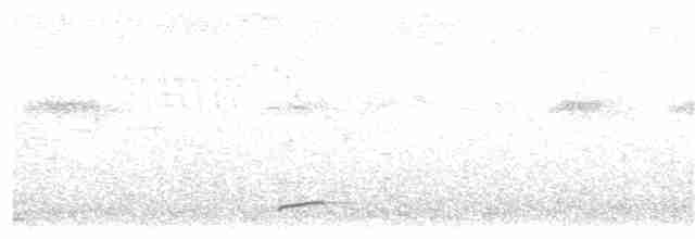 White-faced Nunbird - ML103910181