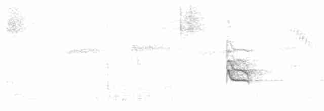 Eufonia Ventrinaranja - ML104037581