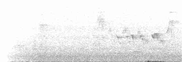 Paruline à croupion jaune (auduboni) - ML104096321