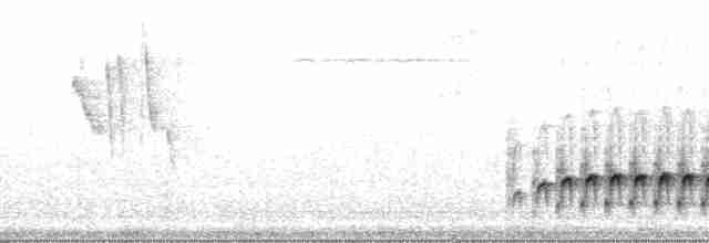 Dusky Antbird (saturatior/vicina) - ML104236