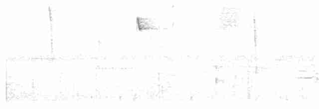 Kara Gagalı Koca Vireo - ML104246341
