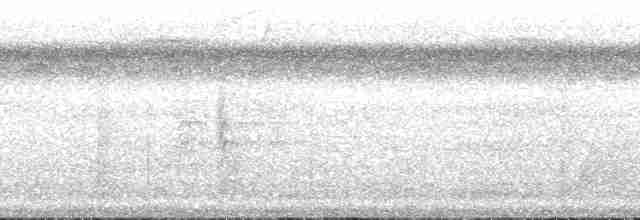 regnbueparakitt (picta) - ML104254